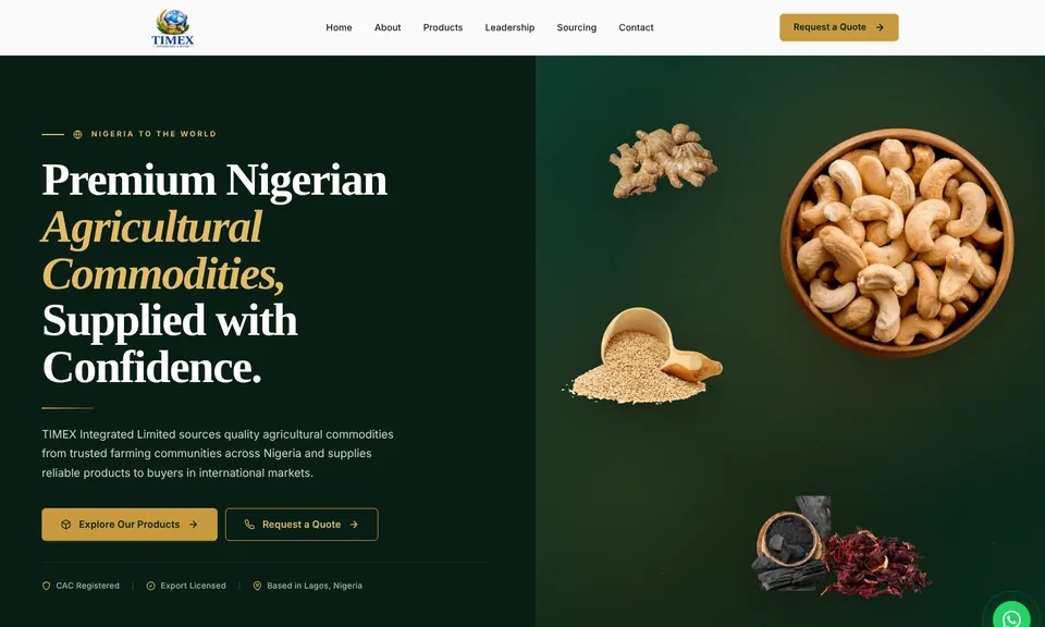 TIMEX Integrated website, built by CharlesTech